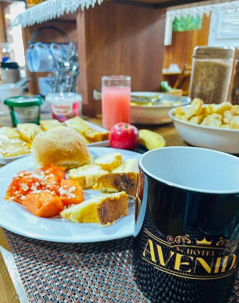 Hotel Avenida Нова-Фрибургу Экстерьер фото
